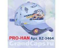 BZ-3464 Pro-han ( ) : 70% , 30%  : 50-54 :   : 5 : 199 . 