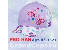 BZ-3521 Pro-han ( ) : 70% , 30%  : 48-50 :   : 5 : 190 . 