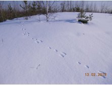 DSCN1394.JPG