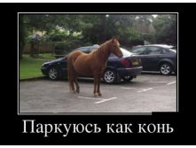 10.10.2012 16:28:33