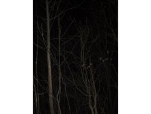 14.04.2009 21:22:21