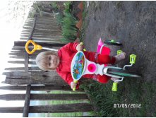 SAM_0480.JPG