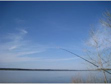 IMG_4730.JPG