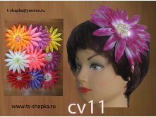 0арт cv11