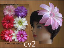 арт cv2