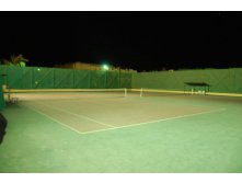 DSC_0110.JPG