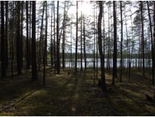 DSCF8724.JPG