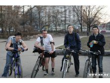 вылысыпыдысты размножаются