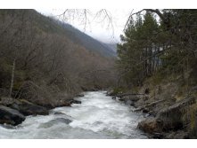 12.05.2009 13:39:13