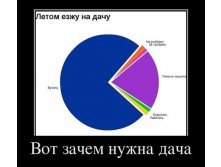 657567556.jpeg