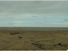 18.05.2009 15:39:43