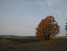 05.10.2010 22:41:05