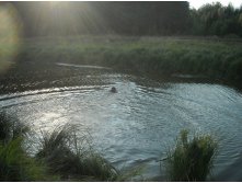 06.10.2010 9:52:21
