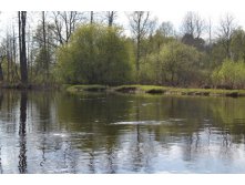 res_DSC_0329.JPG