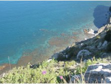 такого чистого моря летом не увидишь