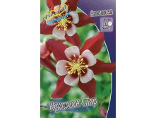  Aquilegia Crimson Star_13.jpg