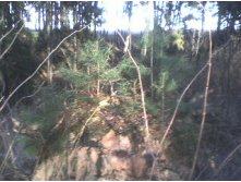декабрь 2008