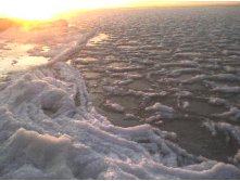 море