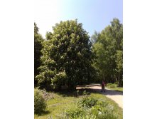 30.05.2009 22:47:50