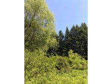 30.05.2009 22:52:27