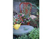 container-gardening-11.jpg