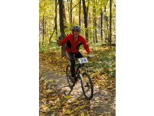 11.10.2010 12:04:09
