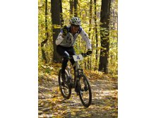 11.10.2010 12:06:28