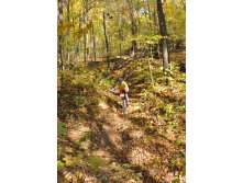 11.10.2010 13:09:27