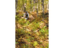 11.10.2010 13:17:45