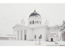 BUL_0777-copy.jpg
