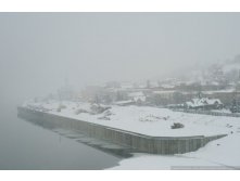 BUL_0846.jpg