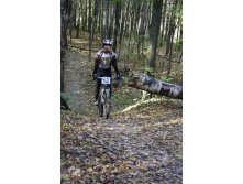 11.10.2010 13:57:46