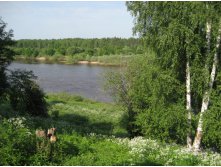 15.06.2009 10:37:30