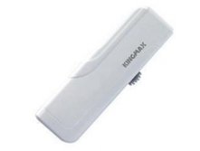 USB Kingmax PD-02 White.jpg