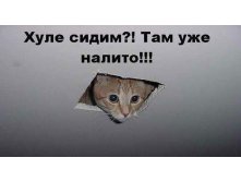 16.10.2010 9:06:04