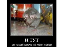 16.10.2010 9:06:10