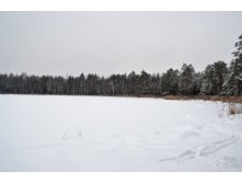 DSC_0095.jpg