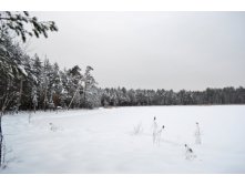 DSC_0096.jpg