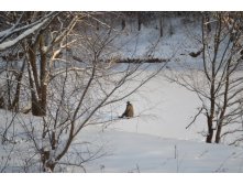 DSC_0094.JPG