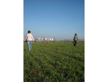 25.10.2010 18:28:17