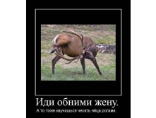 27.07.2009 19:31:28