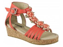  GH076-09 coral ( . 26-31)  460 