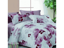 47678   EH VioletDreams FAMILY YDN006.gif