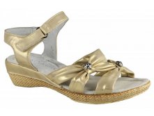  DY1036-30 gold ( . 31-36)  540 