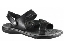  C06008-01 black ( . 35-40)  520 