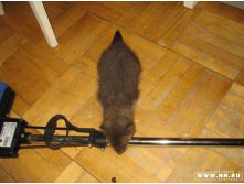 Обнаружено новое устройство