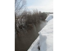IMG_0279.JPG