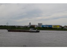 DSC_0156.JPG