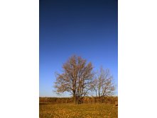 28.10.2010 17:38:30