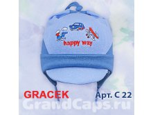 C22 p.50-52 M Gracek ( ) :  95% , 5%  : 50-52 :   : 5   120